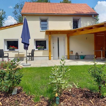Ferienhaus Richtermuehle Sebnitz Kültér fotó