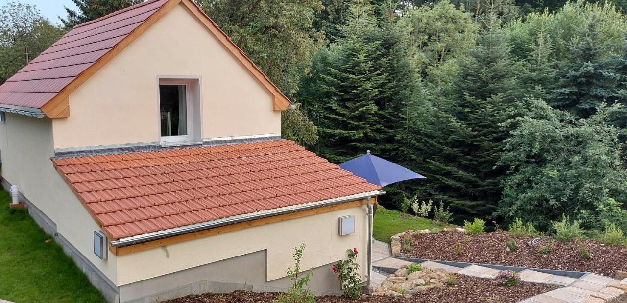 Ferienhaus Richtermuehle Sebnitz Kültér fotó
